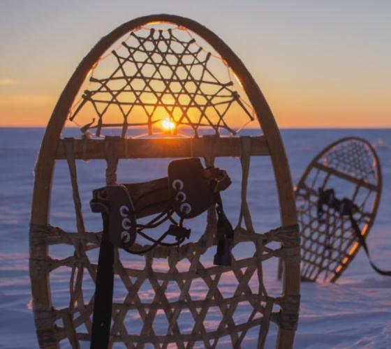 Snowshoes placed upright in the snow with sunset in background