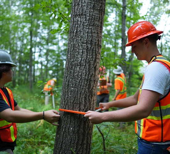 SONE students measuring trees in campus Living Lab