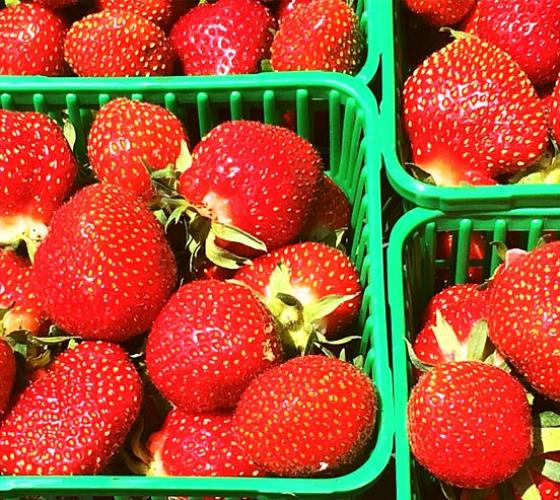 Boxes of fresh strawberries.