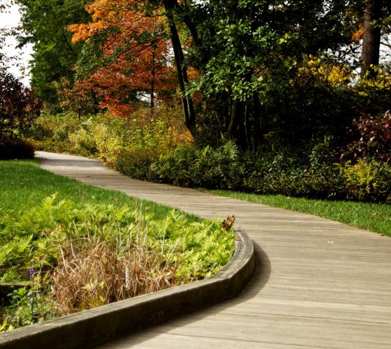 curved wooden path with green grass, plants and trees along the path