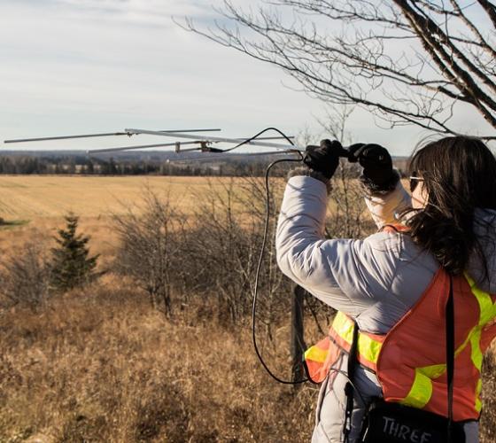 School of Natural Environment student wearing a safety vest outdoors performing radio telemetry to track wildlife