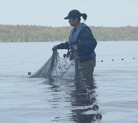 School of Natural Environment student in the lake learning netting techniques
