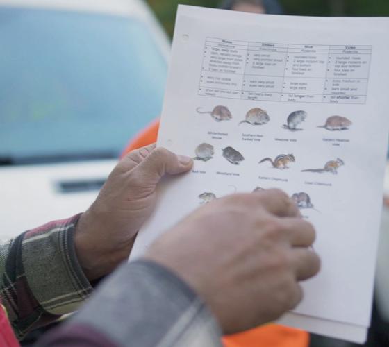 School of Natural Environment instructor holding and showing a paper with information on mammal identification