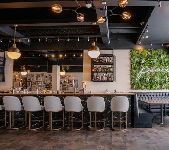 Peace restaurant interior with seating at bar and greenery wall