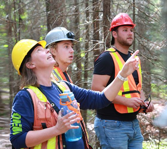 School of Natural Environment instructor and student in safety vests and hard hats looking at trees