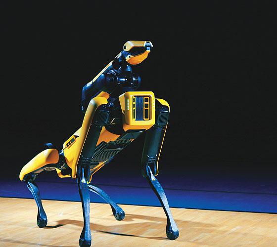Robotic dog standing on floor 