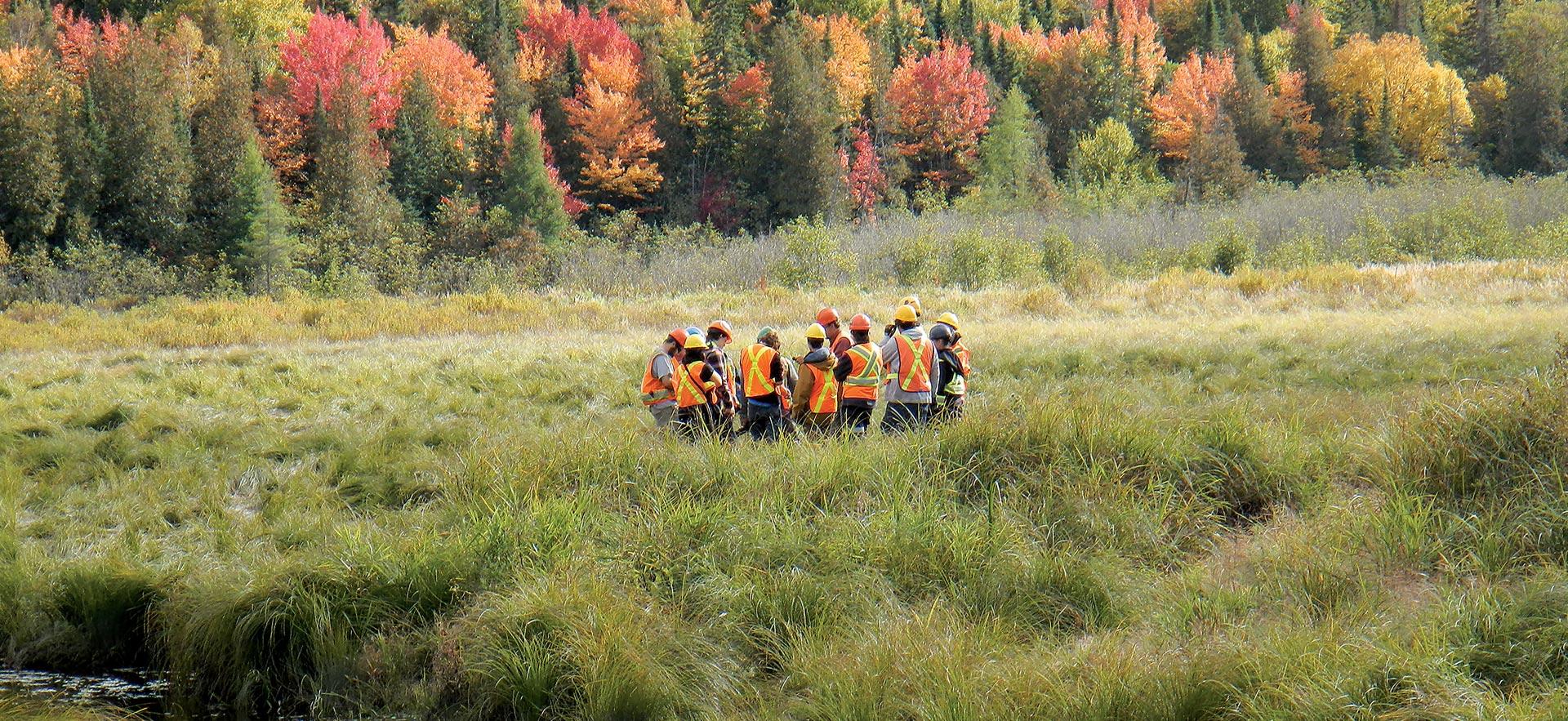 A class in Natural Environment Technician - Conservation and Management gather in a field in nature to conduct a class. 