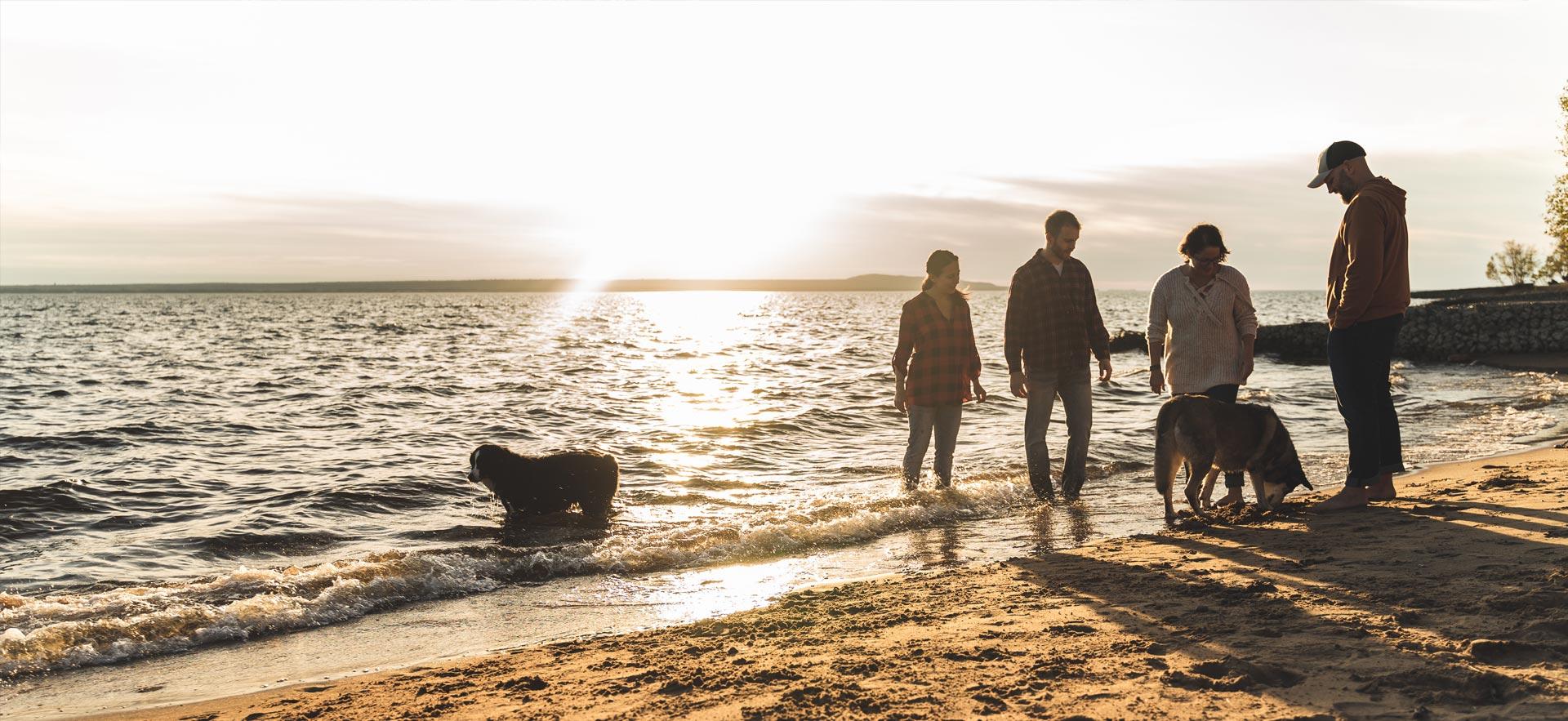 Four people on the beach with two dogs at sunset.