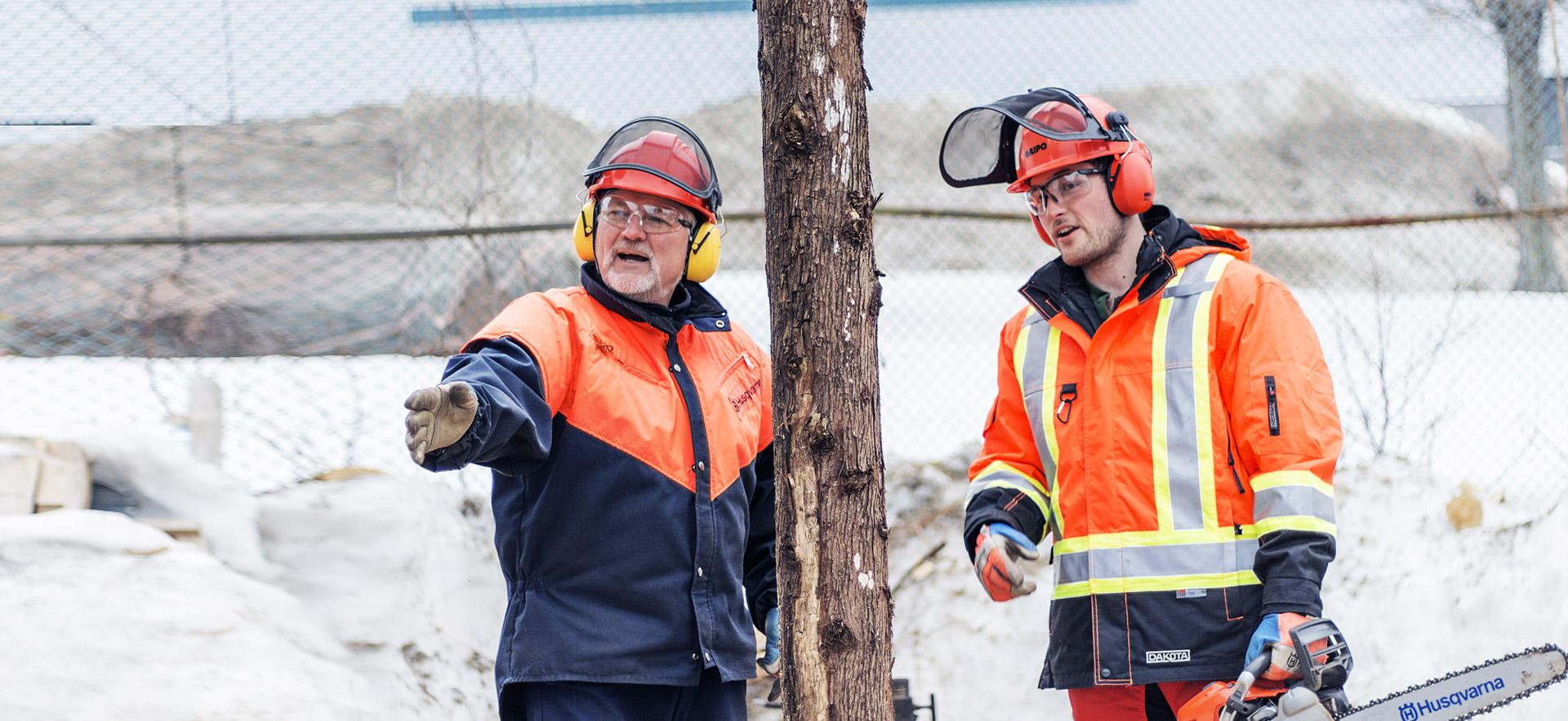 Instructor teaching male utility aborist student.