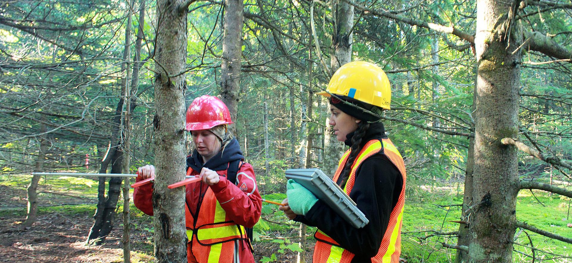 Two female Forestry Technician - Conservation students take measurements of a tree in the forest. 