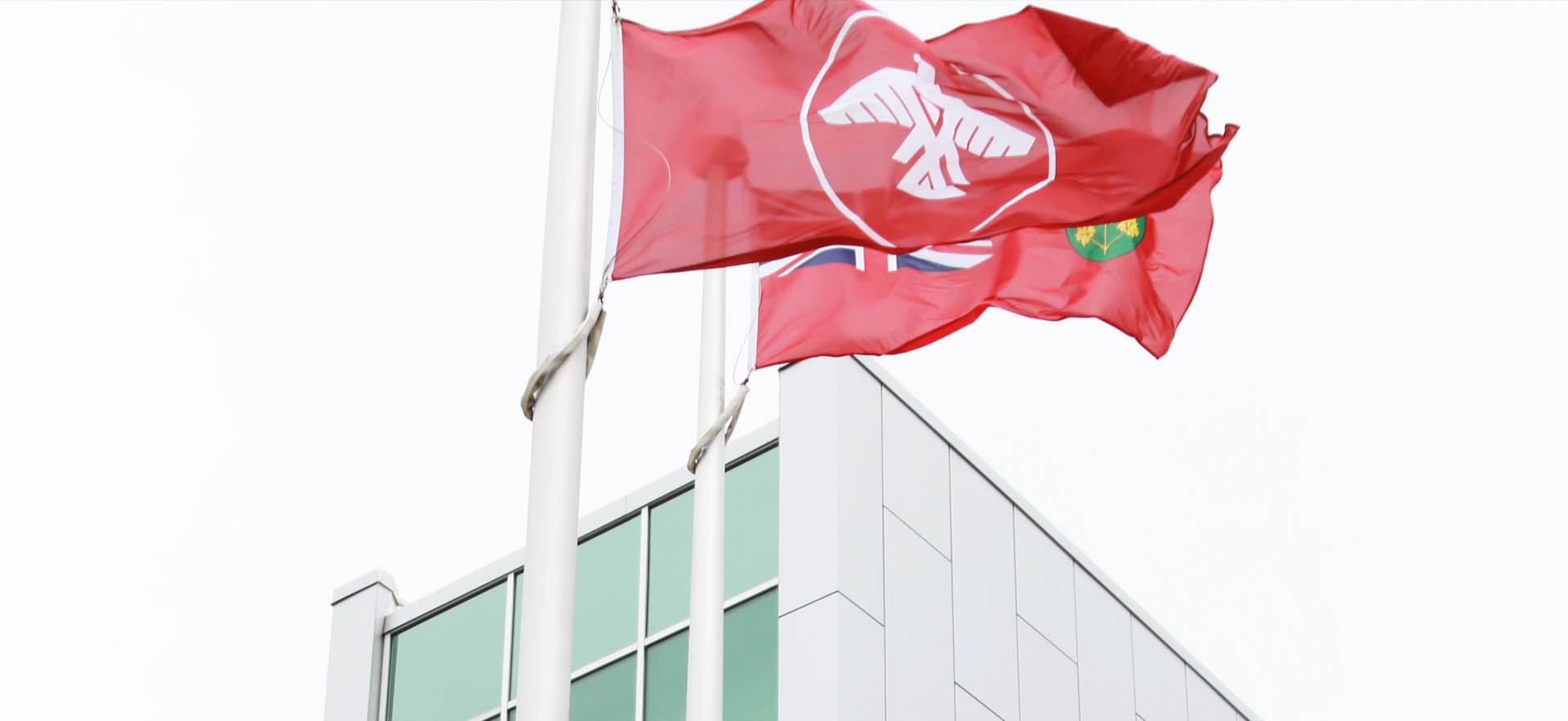 Indigenous flag raised during event