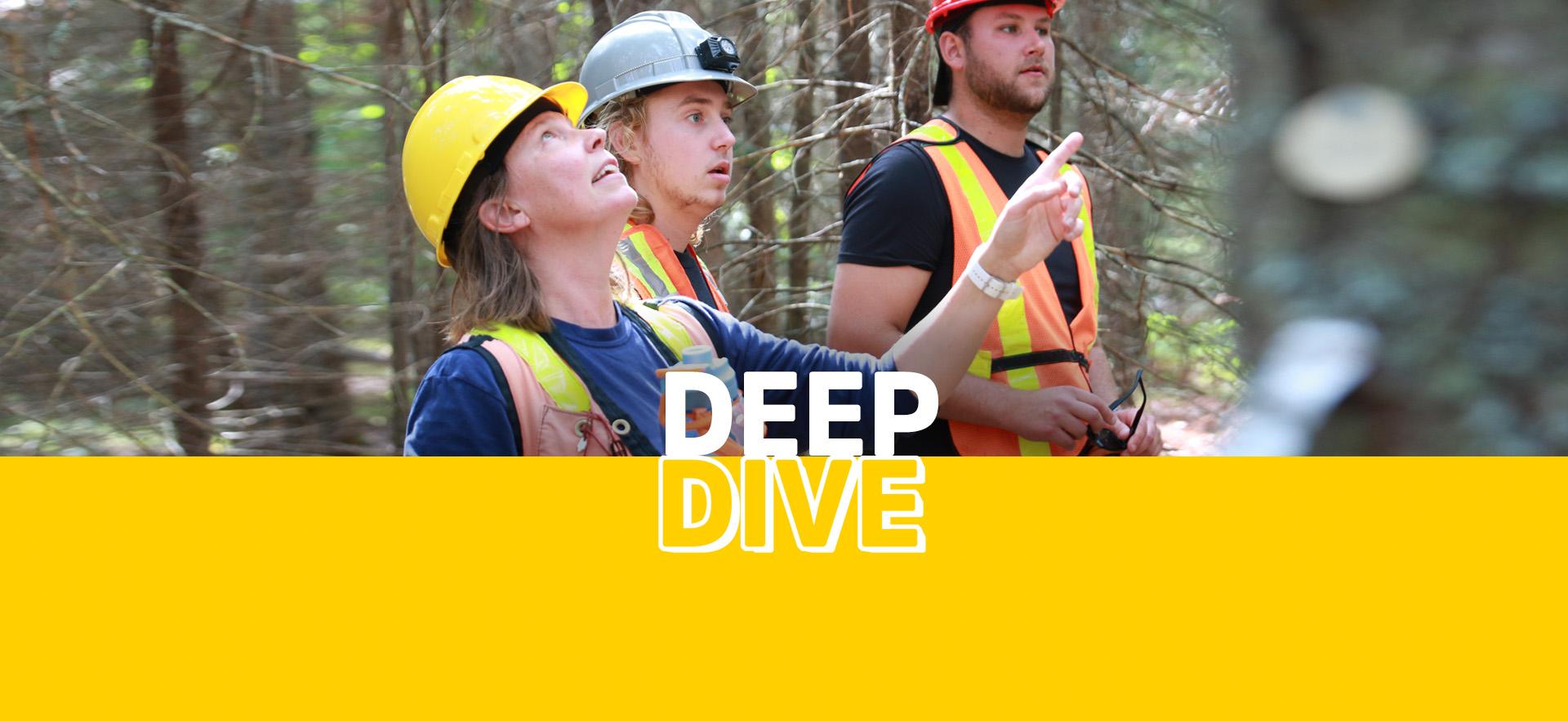 Deep Dive natural environment students during field camp in safety vests and hard hats