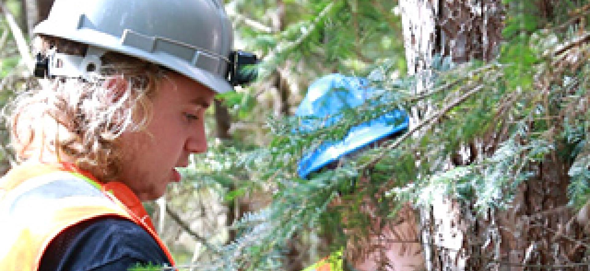 Forestry Tech students measuring a tree