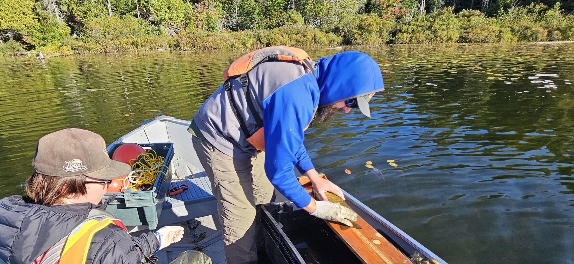Fish and Wildlife students preparing to fillet a fish caught on a boat