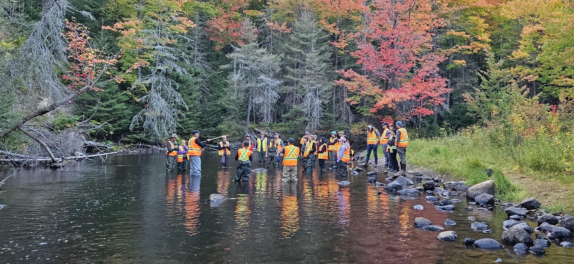 Fish and Wildlife students and faculty standing in the water