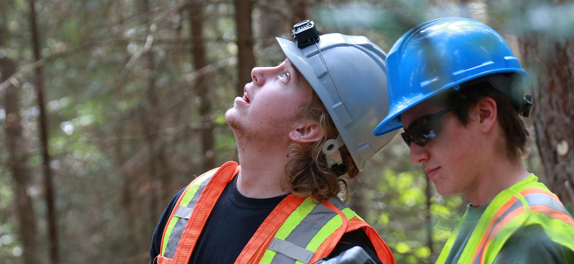 Forestry Tech students looking around