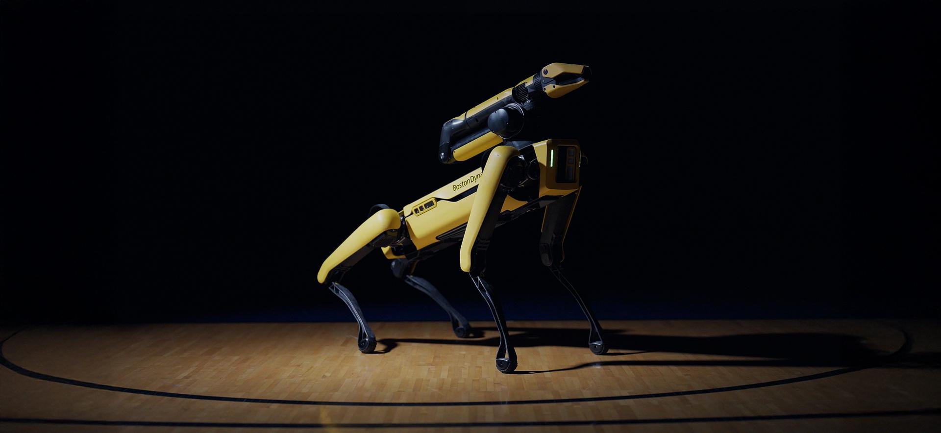 Spot the robot dog