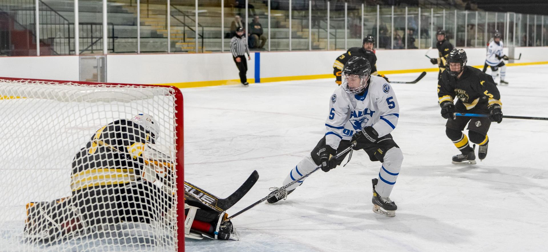 hockey