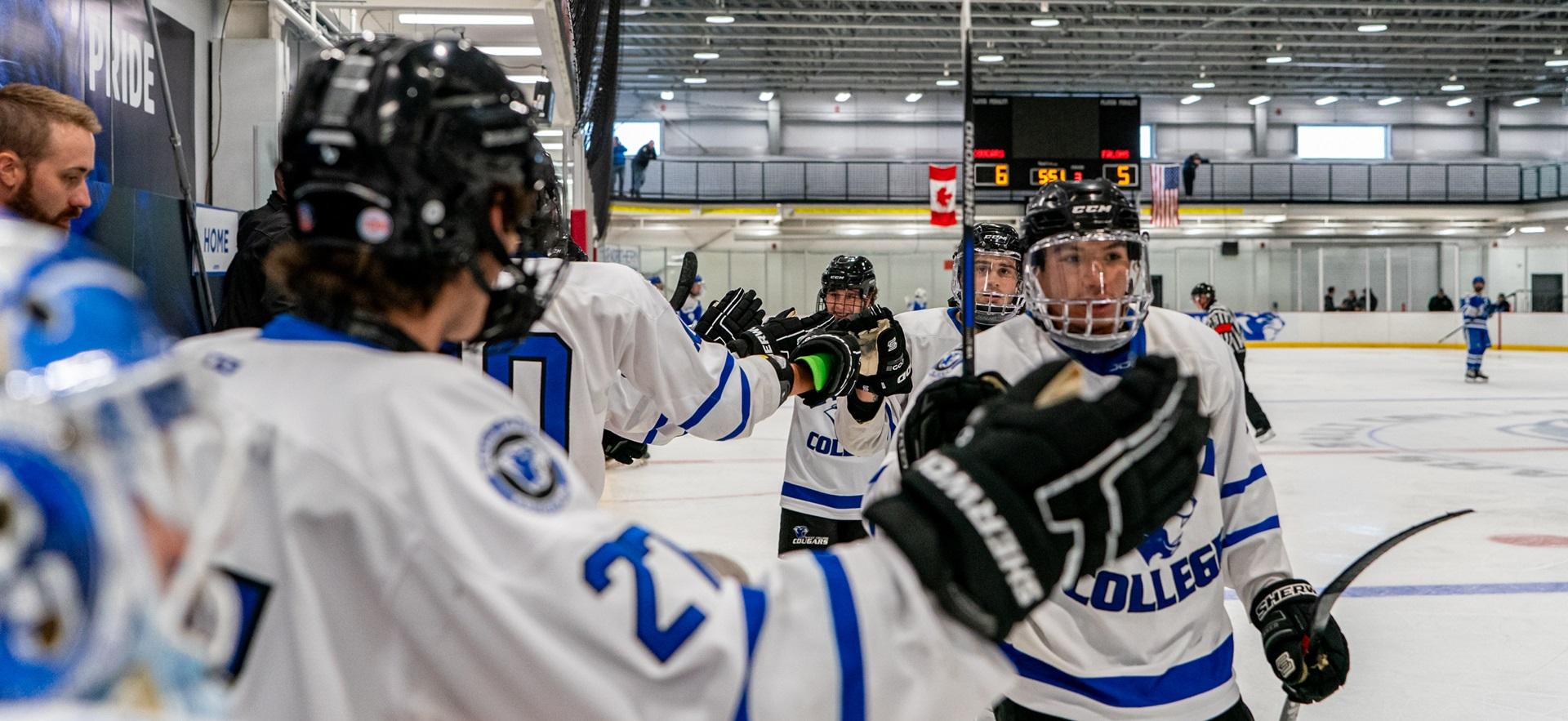 Men's Hockey team on the ice doing high fives with players on the bench
