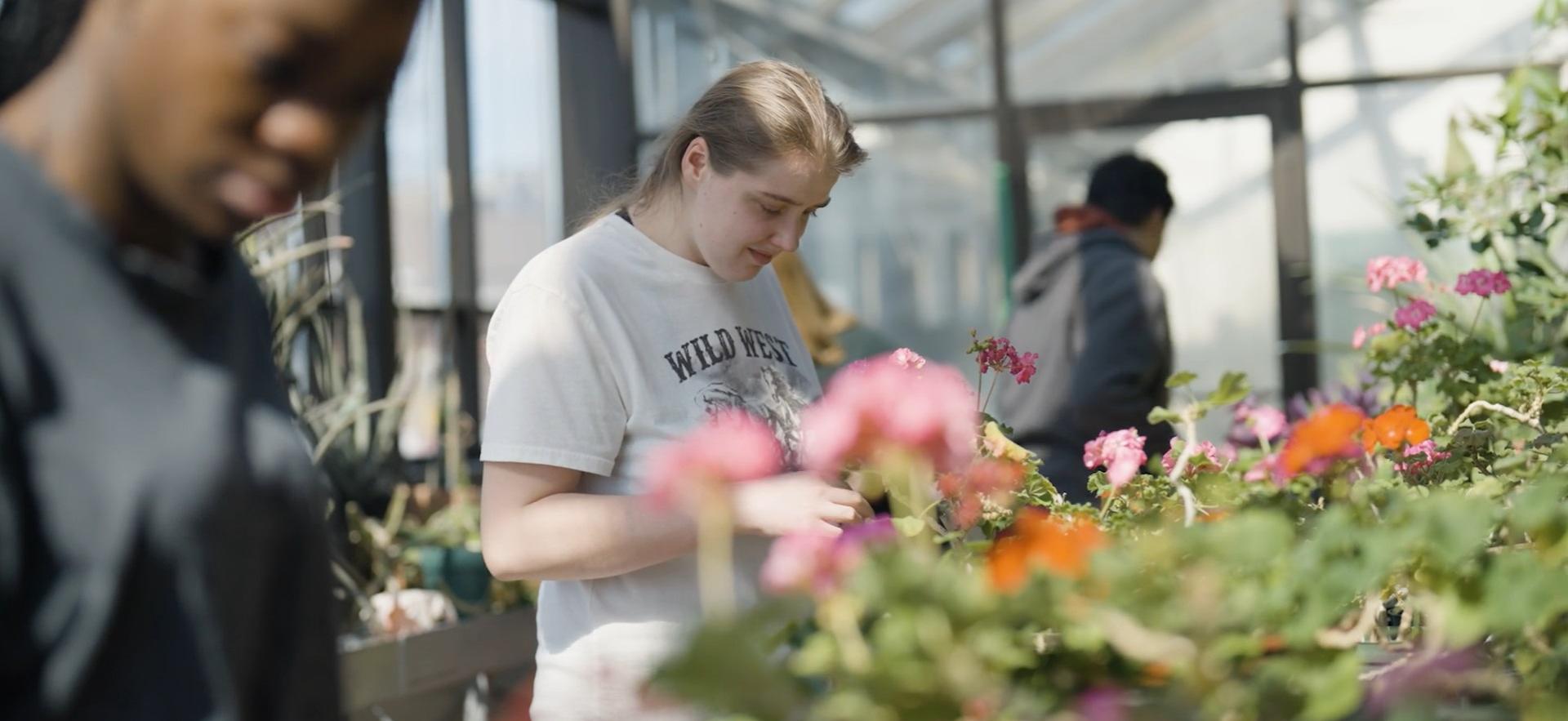 CICE students working in the SONE greenhouse