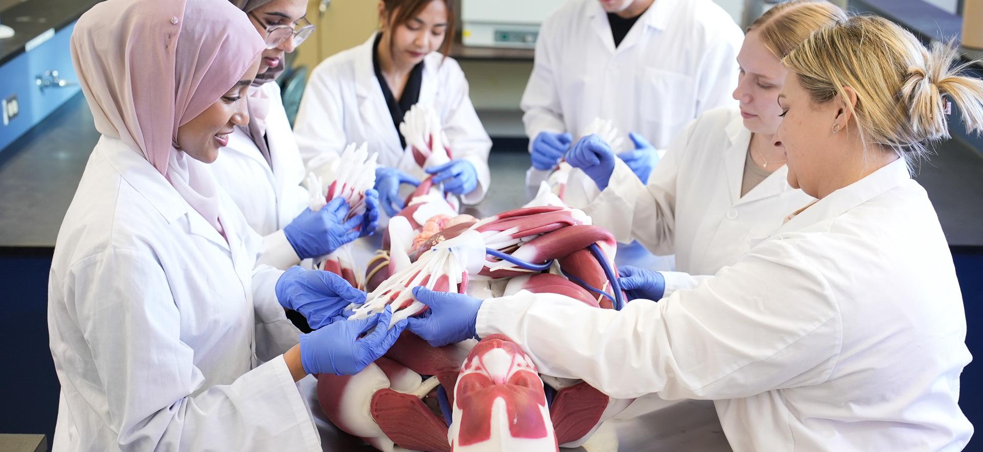 Nursing instructor with students exploring new manikin