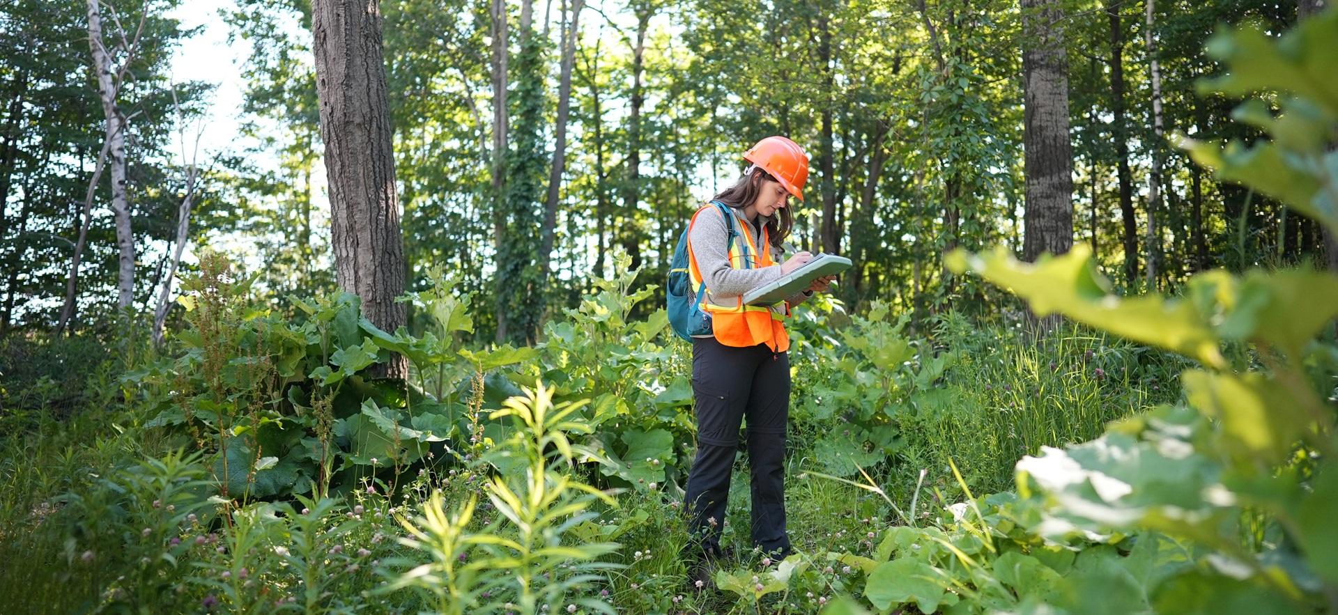 SONE student in the field with hard hat and vest writing down on clipboard