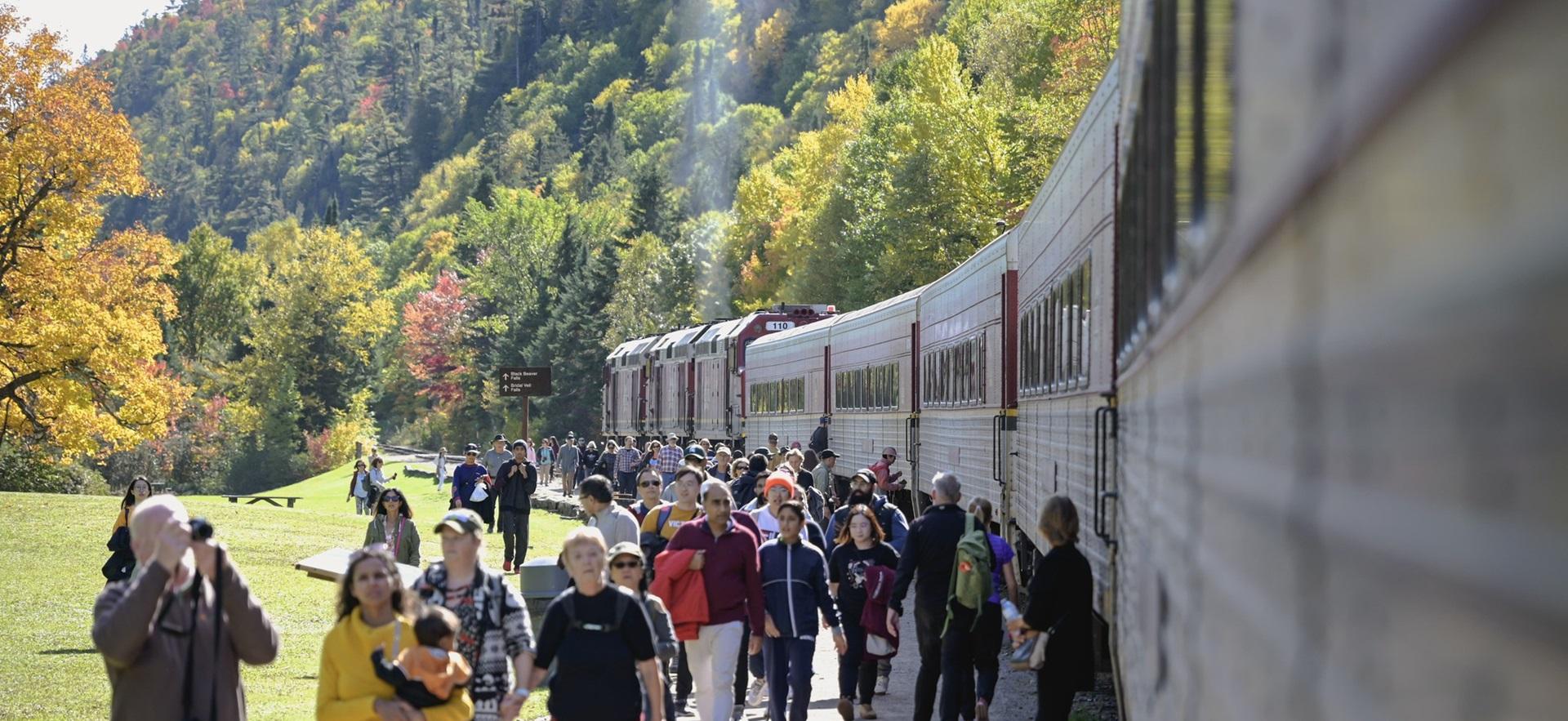 Agawa Canyon stopped at the park with people getting off train