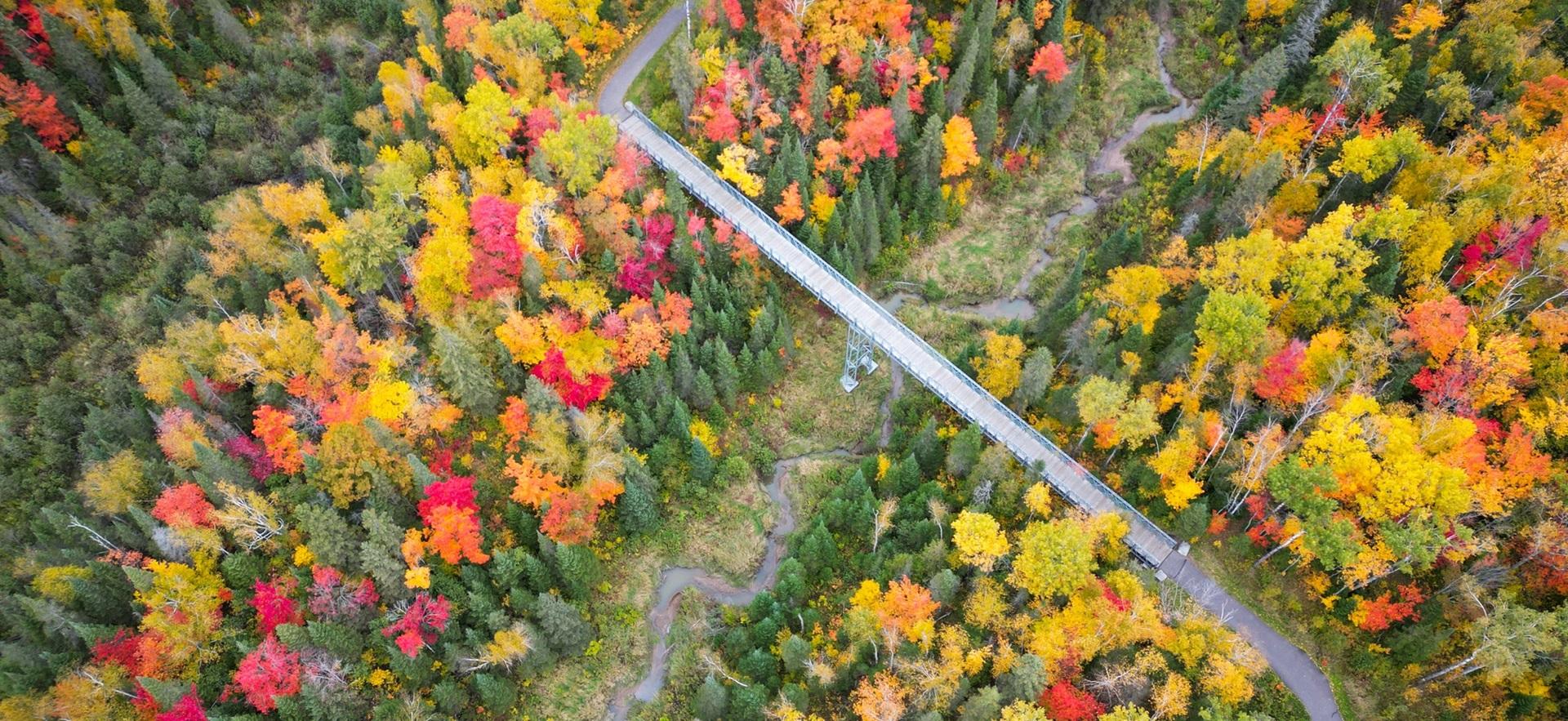 Aerial view of hub trail bridge in the fall