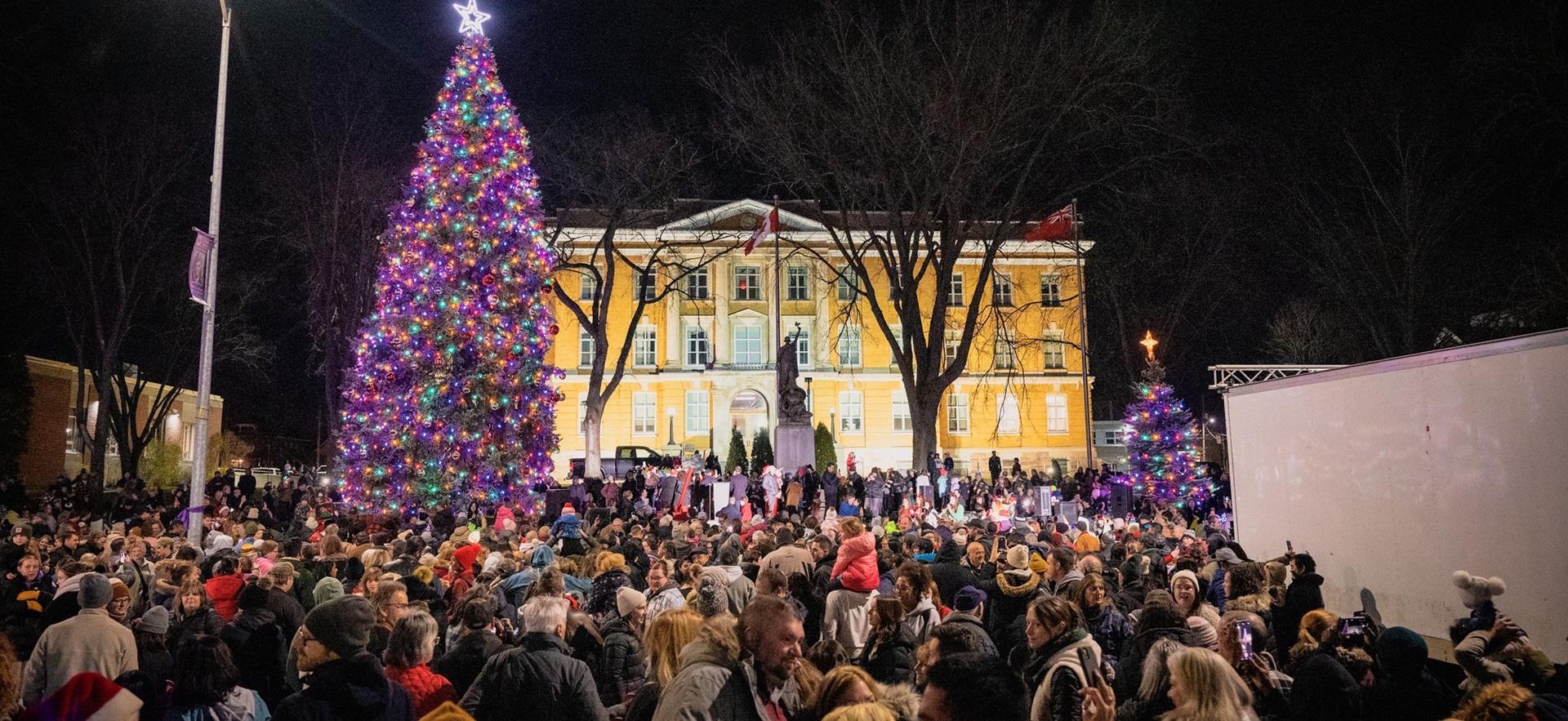 Moonlight Magic event with crowd gathered from tree lighting