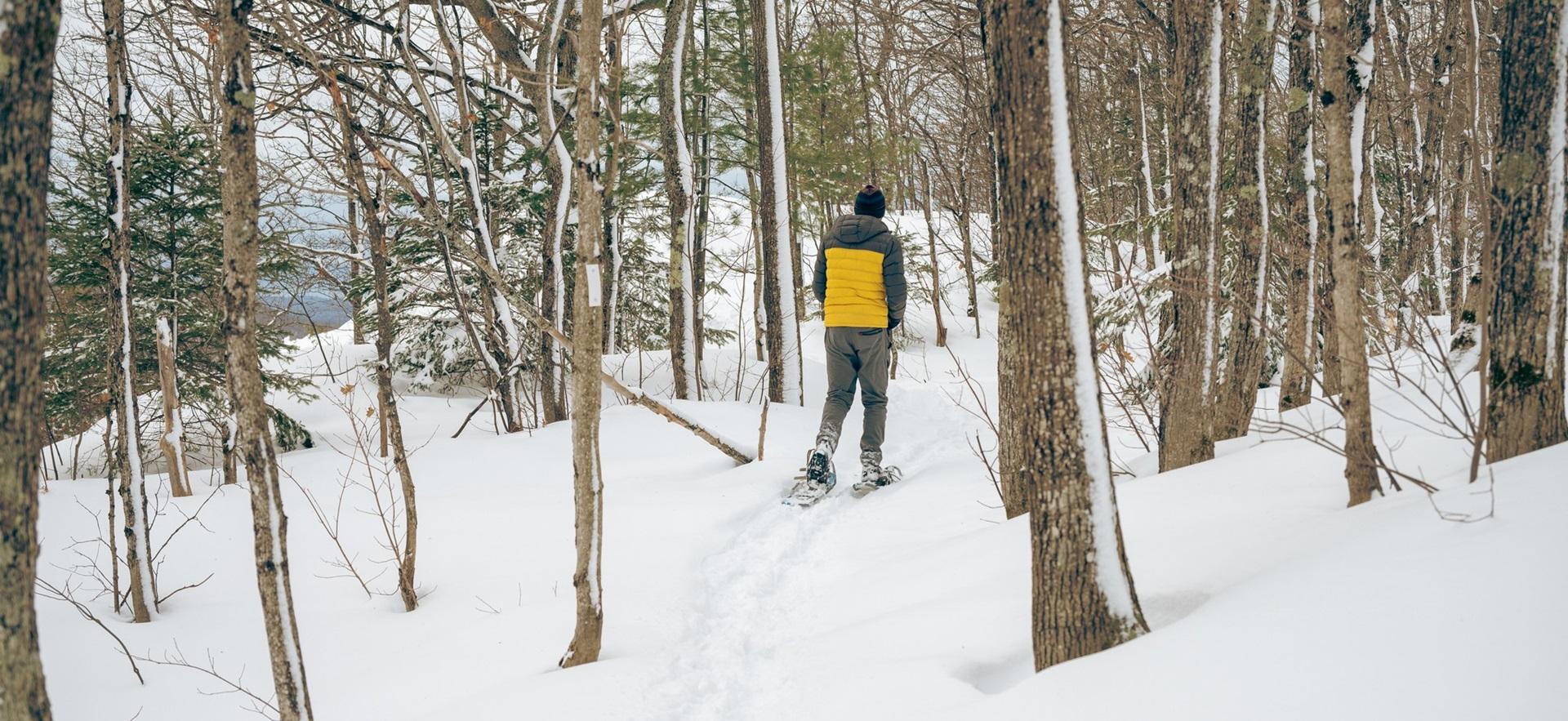 Man snowshoeing along the trees