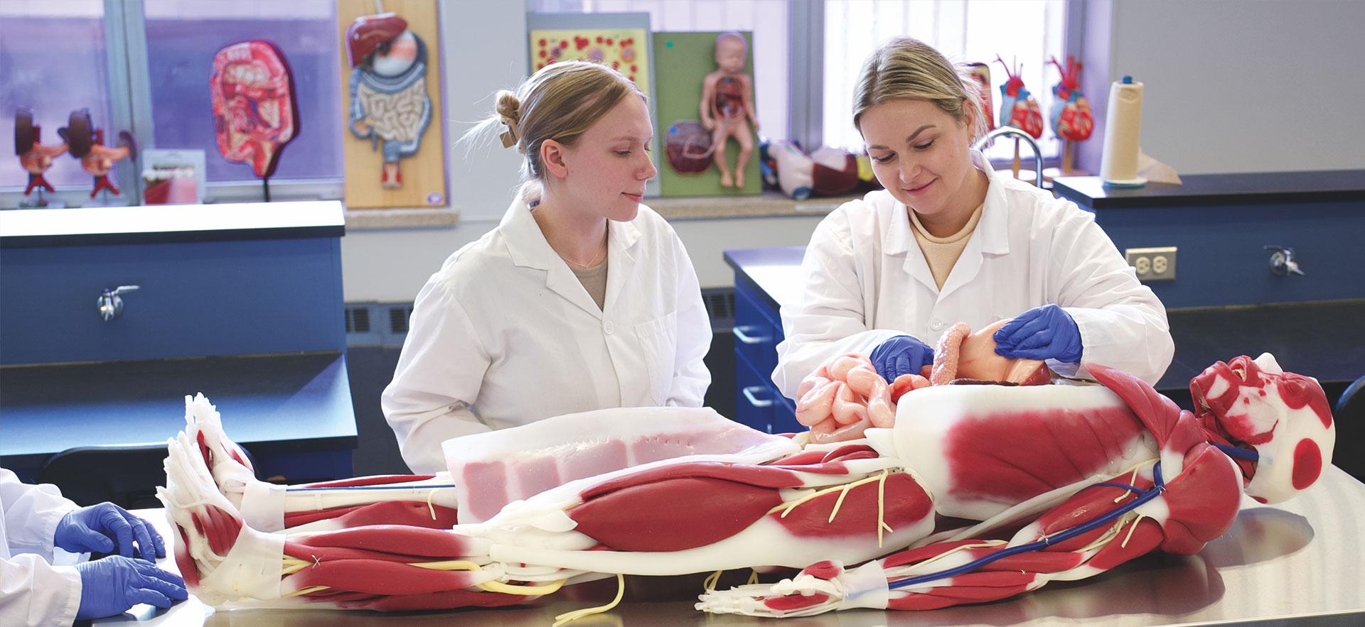 Students explore a cadaver mannequin in class