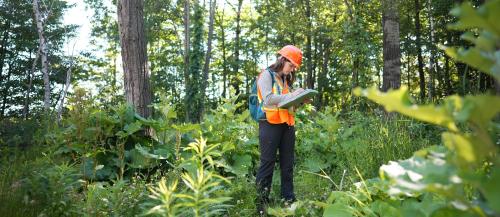 SONE student in the field with hard hat and vest writing down on clipboard